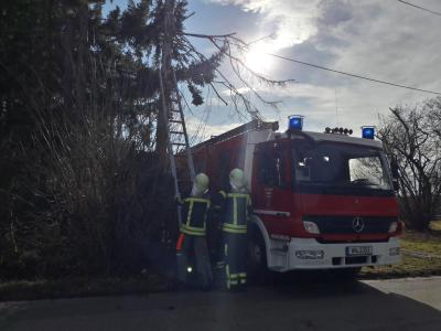 Waiblingen-Erbachhof: Erster Sturmschaden - Baum faellt auf Telefonleitung